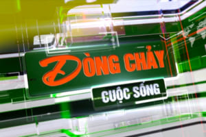dong-chay-nghi-truong-dong-chay-cuoc-song
