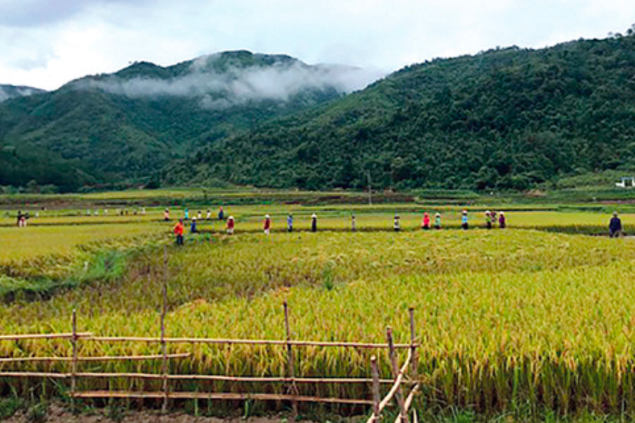 xa-nong-thon-moi-o-vung-sau-lai-chau-muong-mit